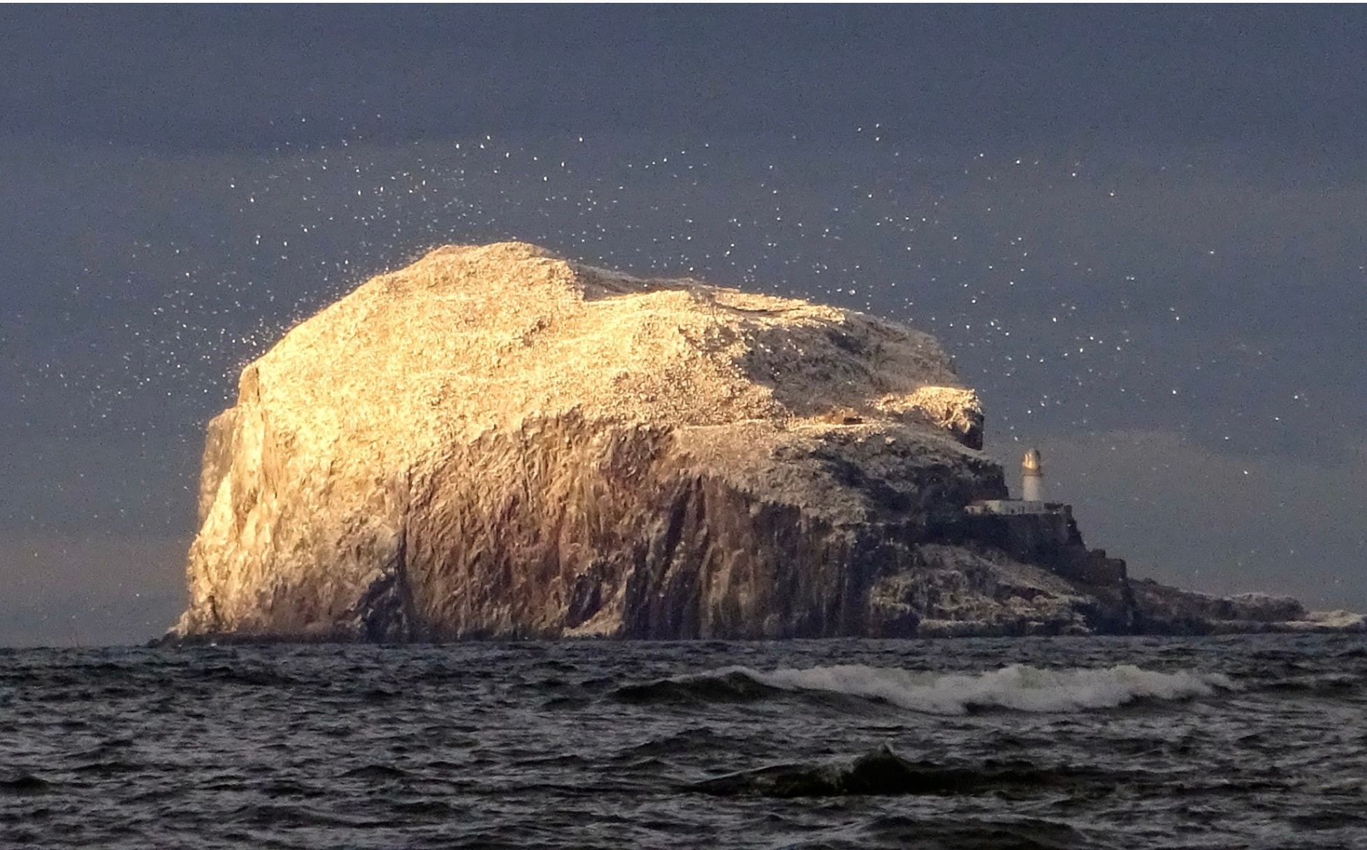 Bass Rock — the coastal landmark that inspires many GSM Art paintings